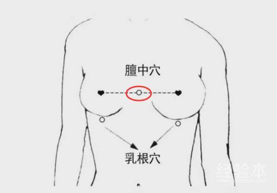 胸口的位置图片 部位图片
