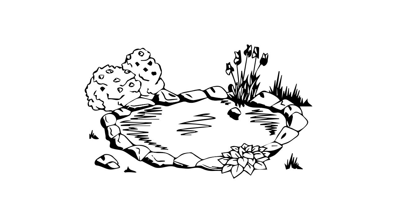 公域流量
