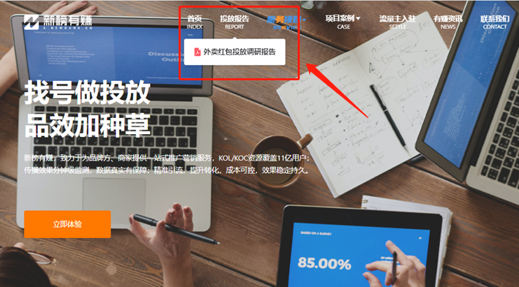 双十一投放研究报告